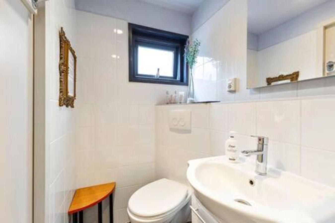 Authentic Dutch Houseboat In Amsterdam Zuid Villa Buitenkant foto